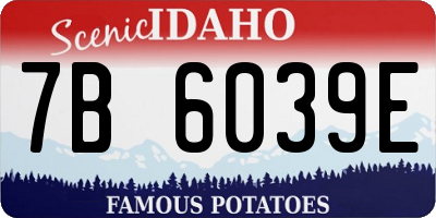 ID license plate 7B6039E
