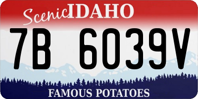 ID license plate 7B6039V