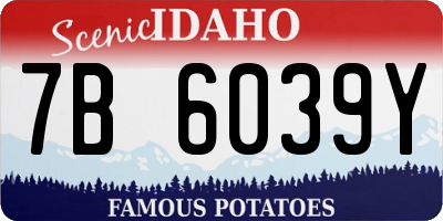 ID license plate 7B6039Y