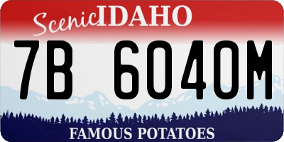 ID license plate 7B6040M
