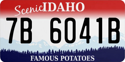 ID license plate 7B6041B
