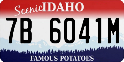 ID license plate 7B6041M