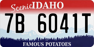 ID license plate 7B6041T