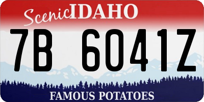 ID license plate 7B6041Z