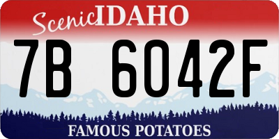 ID license plate 7B6042F