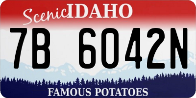 ID license plate 7B6042N