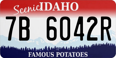 ID license plate 7B6042R