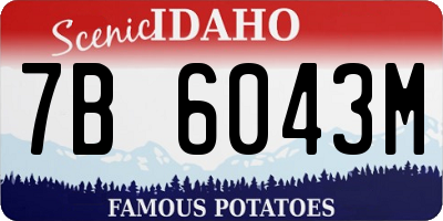 ID license plate 7B6043M