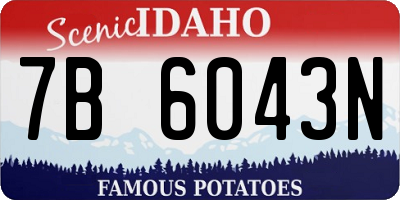 ID license plate 7B6043N