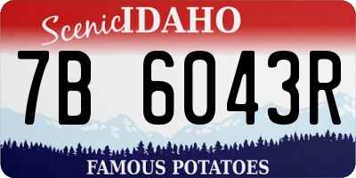 ID license plate 7B6043R