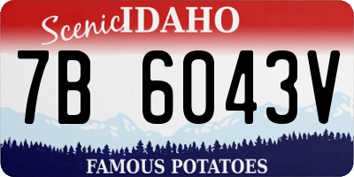 ID license plate 7B6043V