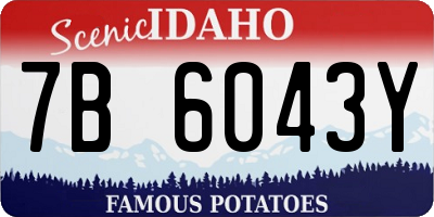 ID license plate 7B6043Y