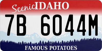 ID license plate 7B6044M