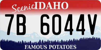 ID license plate 7B6044V