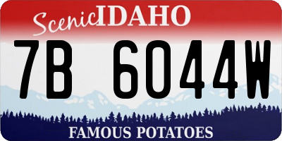 ID license plate 7B6044W
