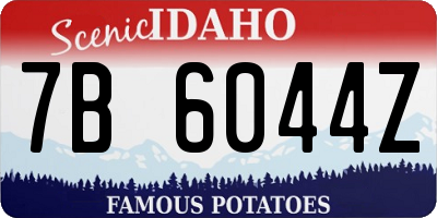 ID license plate 7B6044Z
