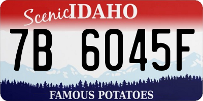 ID license plate 7B6045F