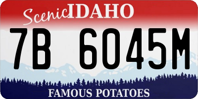 ID license plate 7B6045M
