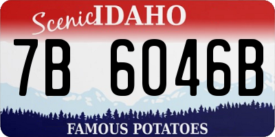 ID license plate 7B6046B