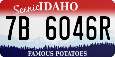 ID license plate 7B6046R