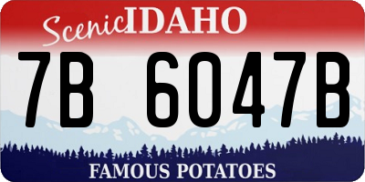 ID license plate 7B6047B