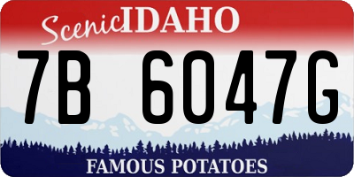 ID license plate 7B6047G