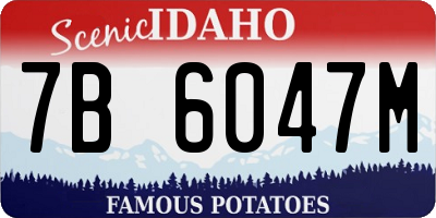 ID license plate 7B6047M