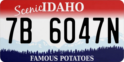 ID license plate 7B6047N