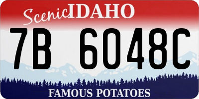 ID license plate 7B6048C