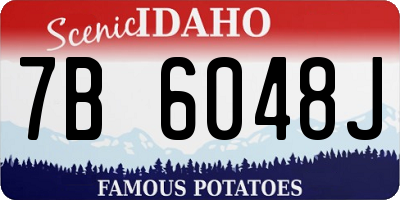 ID license plate 7B6048J
