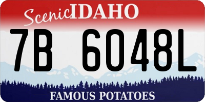 ID license plate 7B6048L