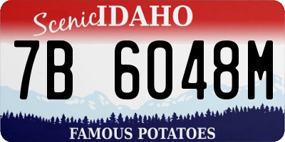 ID license plate 7B6048M