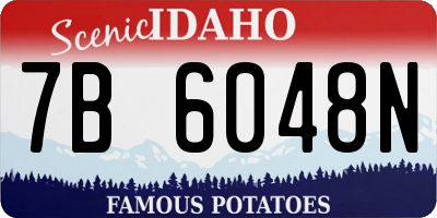 ID license plate 7B6048N