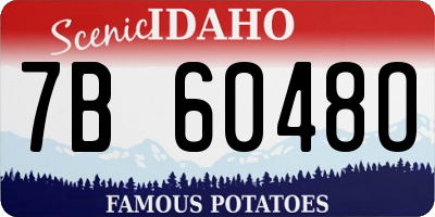 ID license plate 7B6048O