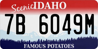 ID license plate 7B6049M