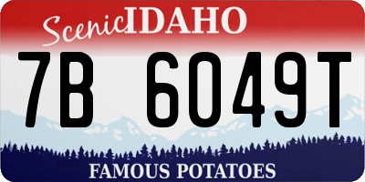 ID license plate 7B6049T