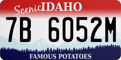 ID license plate 7B6052M