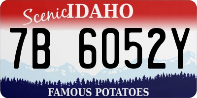 ID license plate 7B6052Y