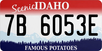 ID license plate 7B6053E
