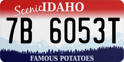 ID license plate 7B6053T