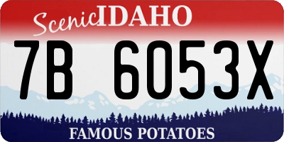 ID license plate 7B6053X