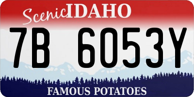 ID license plate 7B6053Y