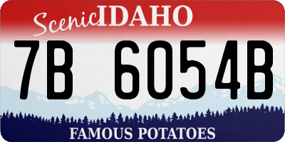 ID license plate 7B6054B