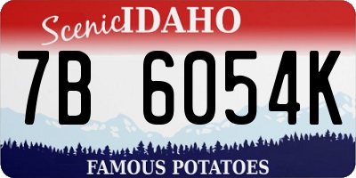 ID license plate 7B6054K