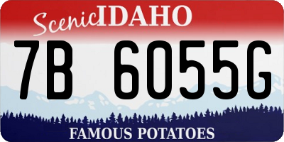 ID license plate 7B6055G