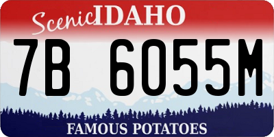 ID license plate 7B6055M