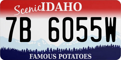 ID license plate 7B6055W