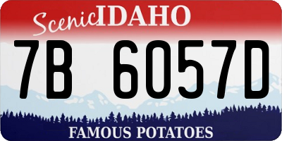 ID license plate 7B6057D