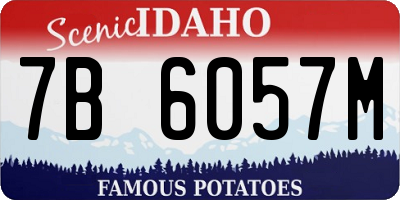 ID license plate 7B6057M