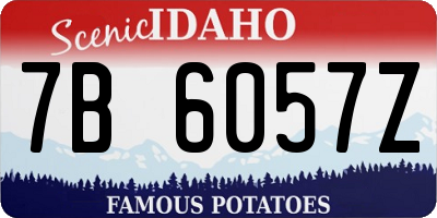 ID license plate 7B6057Z